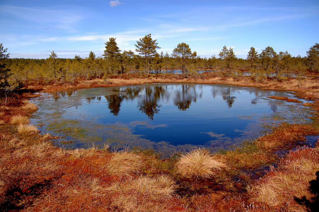 Parque Nacional de Laheema