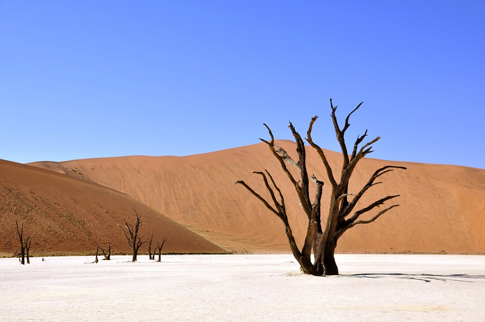Deserto do Namibe com duna ao fundo