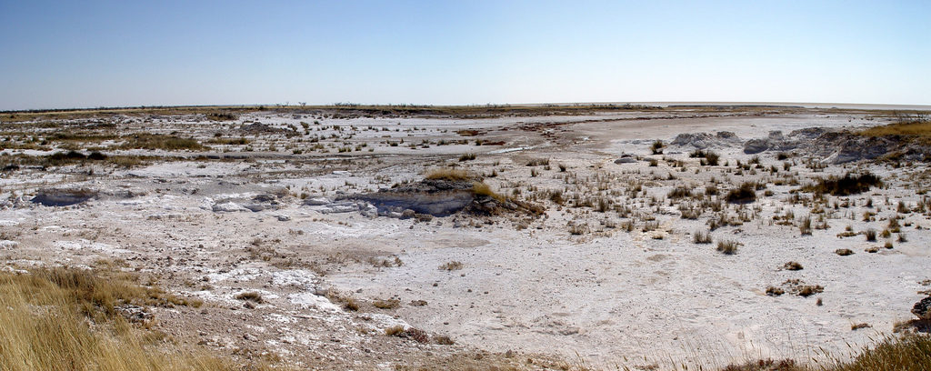 Pan de Etosha